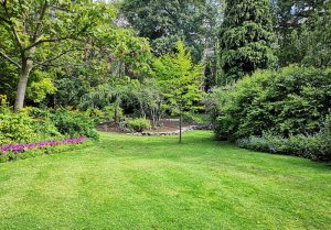 Optimiser l'expérience du jardin à La Chapelle-Thecle